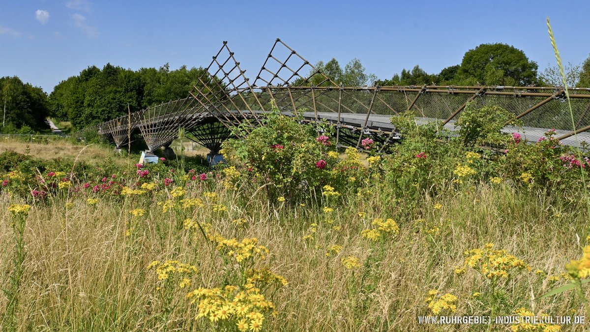 Nach dem Parkband West ging es von der Jahrhunderthalle Bochum via Erzbahntrasse und RS1 (fragt nicht) zum Mechtenberg. Es blüht gerade sehr schön an der markanten Mechtenbergbrücke 😍 #Ruhrgebiet #Ruhrpott