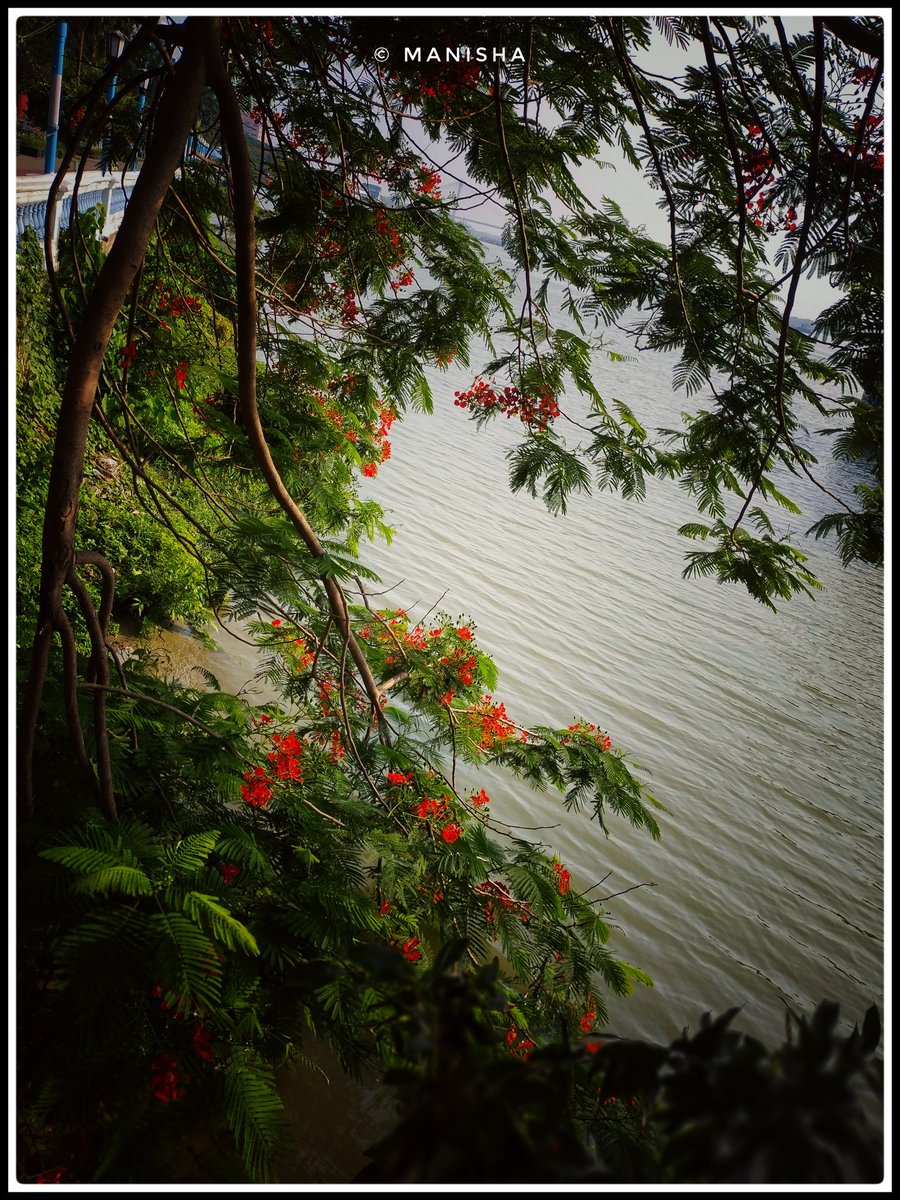 ManishaArtsy's tweet photo. MY CLICKS 📸 A THREAD 

1. Calcutta By The Ganges🌊

#Kolkata #WestBengal #Travel 
#TravelPhotography #Explorer 
#WanderLust #IncredibleIndia https://t.co/7miL1bmse4