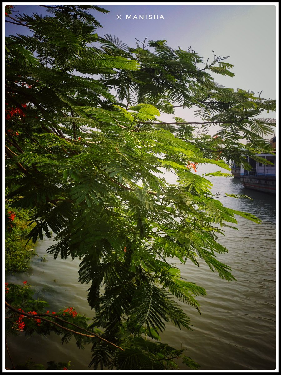 ManishaArtsy's tweet photo. MY CLICKS 📸 A THREAD 

1. Calcutta By The Ganges🌊

#Kolkata #WestBengal #Travel 
#TravelPhotography #Explorer 
#WanderLust #IncredibleIndia https://t.co/7miL1bmse4