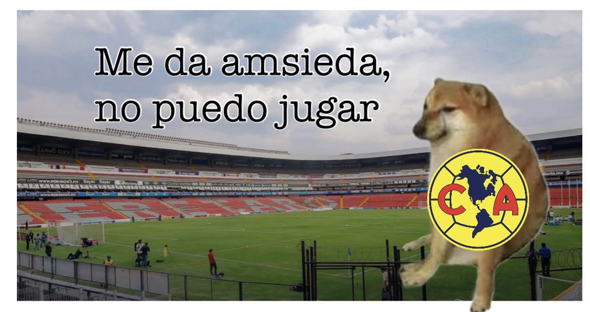 ChivaHermano🇫🇷 tweet media