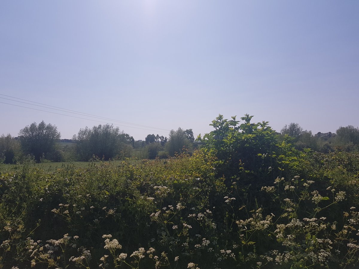 TheHistoryMouse's tweet photo. And out into open country. Just a quick skitter across the fields to #Knook. Once you've visited the wonderful church you can carry on to #Heytesbury for a snifter in the Angel or the Red Lion, then back across the river to #UptonLovell #UptonLovellToKnook circular walk (4/4). https://t.co/50QGtHsGPa