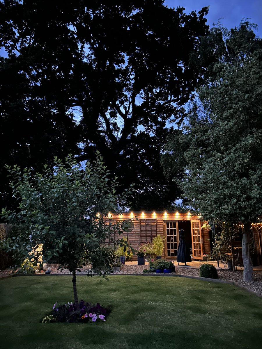 Right here, right now…with a glass of 🍷and watching the 🦔 Just perfect.