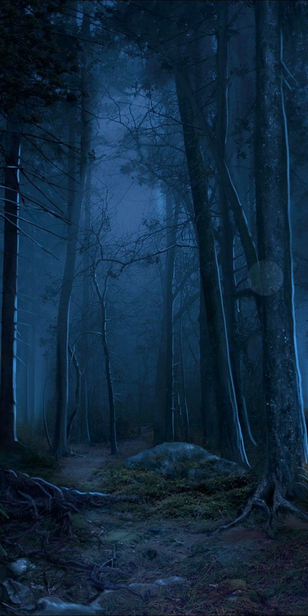 darkwangji's tweet photo. /двое мужчин некоторое время летели над лесом во владениях ордена гусу лань. от цайи до окрестностей гусу, в которых могли находиться предполагаемые ёкаи, добираться было недолго, тем более таким необычным способом, что использовал ванцзи. он сосредоточил энергию для того, чтобы https://t.co/CC5tHrhvCA
