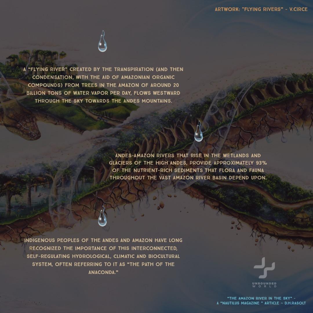 The flying and terrestrial rivers of the Andes and Amazon form an interconnected hydrological, climatic and biocultural system, often called “the path of the anaconda” by Indigenous Peoples. <a href="/NautilusMag/">Nautilus Magazine</a> <a href="/amazonwewantorg/">The Amazon We Want</a> <a href="/gaiaamazonas/">Gaia Amazonas</a> <a href="/InstitutoSINCHI/">Instituto SINCHI 🇨🇴</a>  #CaminoALaCumbreAmazónica