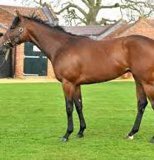 Equiano Club tweet media