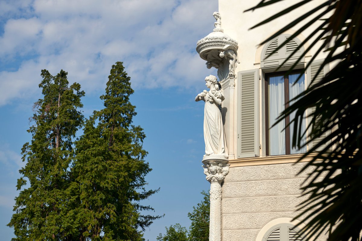 OnlyEver tweet media