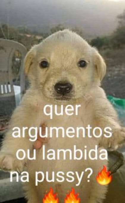 memes_horriveis's tweet photo. https://t.co/U3hAMeTMg4