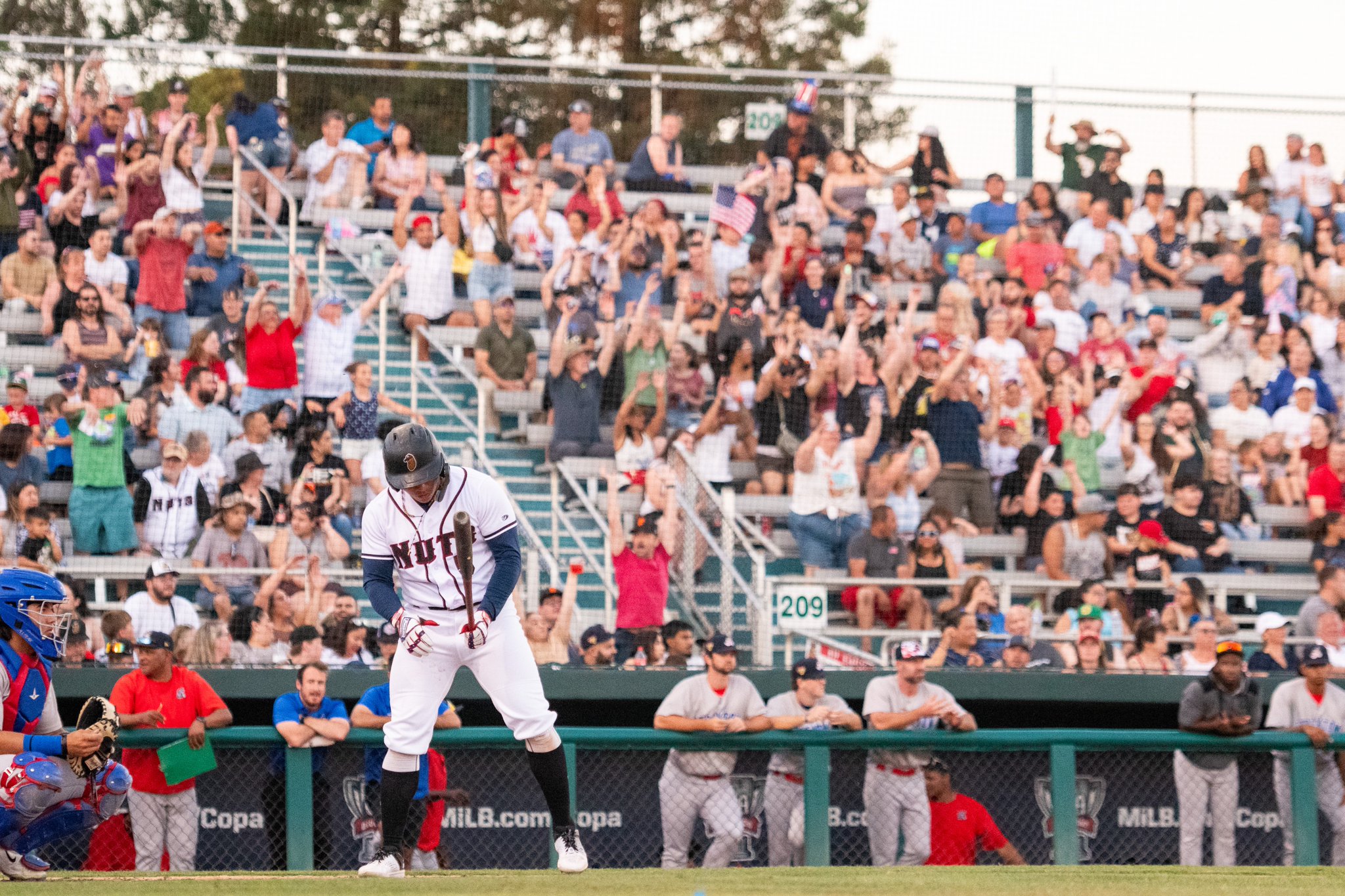 Modesto Nuts on Twitter "https//t.co/YCgzxgV8uU" / Twitter