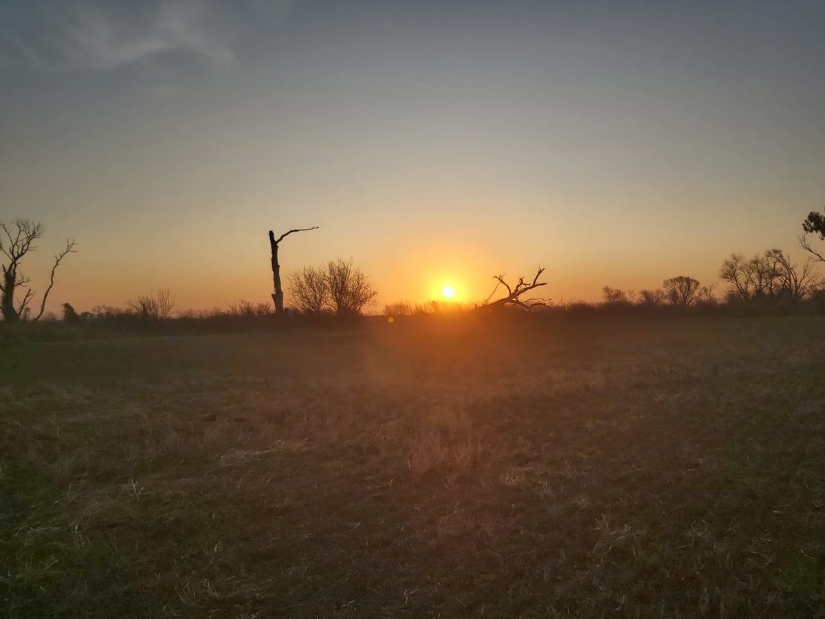 ineumaran's tweet photo. Se va otra tarde en el campo.  
cosecha de maíz.  
y trigo que va naciendo. 🌾 

#enelcampo #produciendo #cultivosdeinvierno #trigo #maiz #cosecha #agriculture #harvest #WINTER https://t.co/H9sotNFMsZ