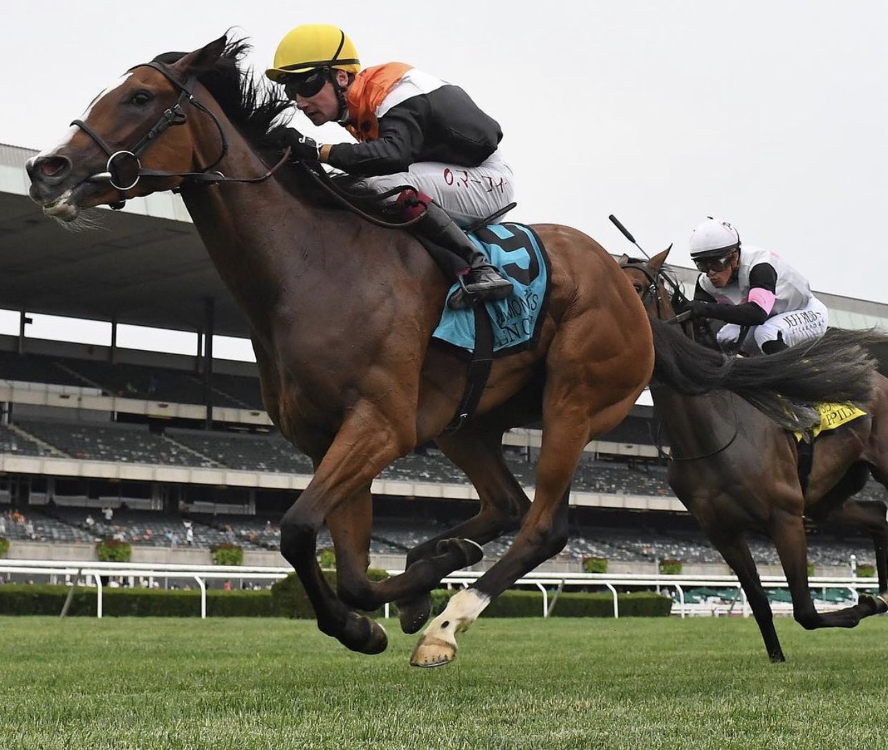 Stakes Winners 🏆 on Twitter: 