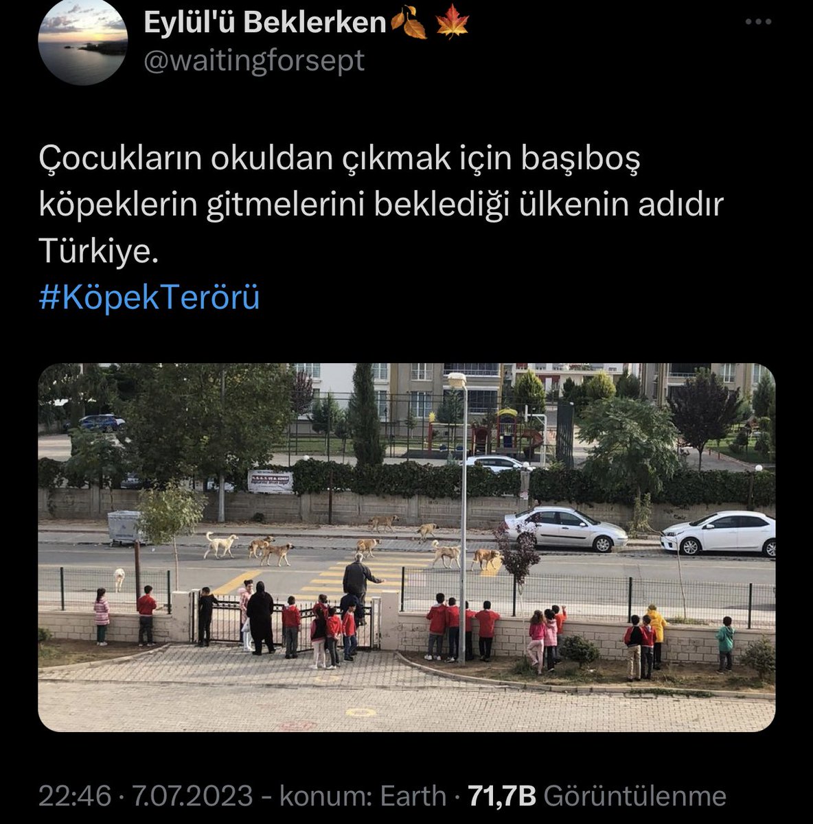 thhsynkrgz's tweet photo. Affedin bizi çocuklar

Büyüyün ve yetki elinize geçtiğinde sokakları güvenli hale getirin

Benim umudum kalmadı https://t.co/1wX2qpNtKr