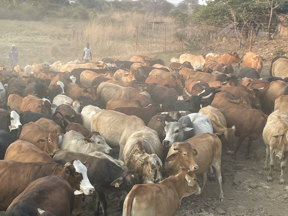 ScrubbsFarm's tweet image. Priceless!   Have a blessed Sunday.