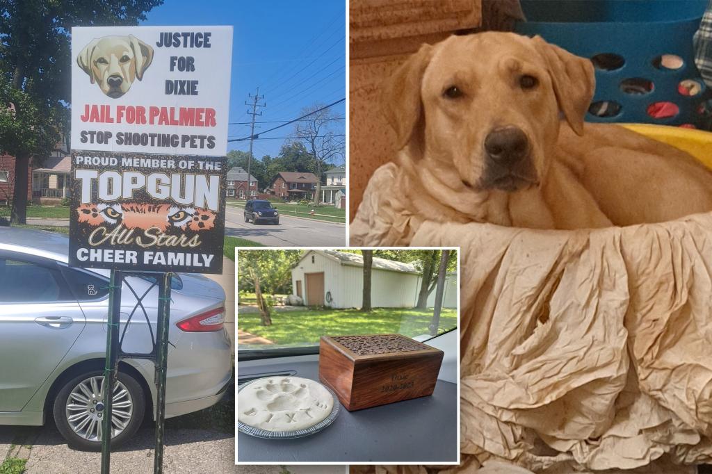 nypost's tweet image. #JusticeforDixie petition demanding firing of cop who fatally shot harmless golden retriever goes viral trib.al/2Hcraoc