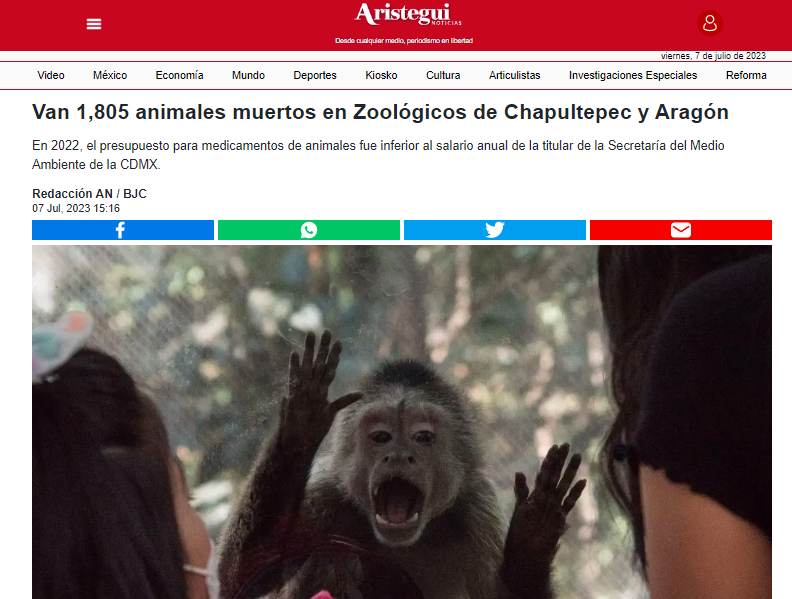 Van 1,805 animales muertos en Zoológicos de Chapultepec y Aragón.

En 2022, el presupuesto para medicamentos de animales fue inferior al salario anual de la titular de la Secretaría del Medio Ambiente de la CDMX.

Les comparto una investigación del Periodista Brandon J. Celaya👇