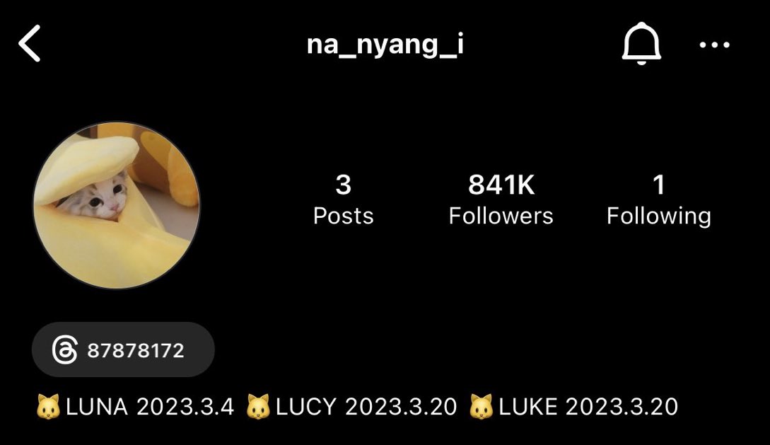 แมวอัจฉริยะ ทำไมเล่น threads เปน