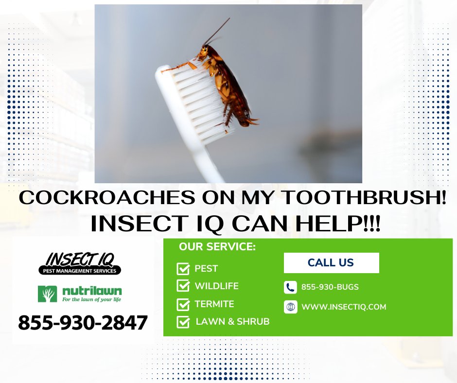 Insect_IQ tweet picture