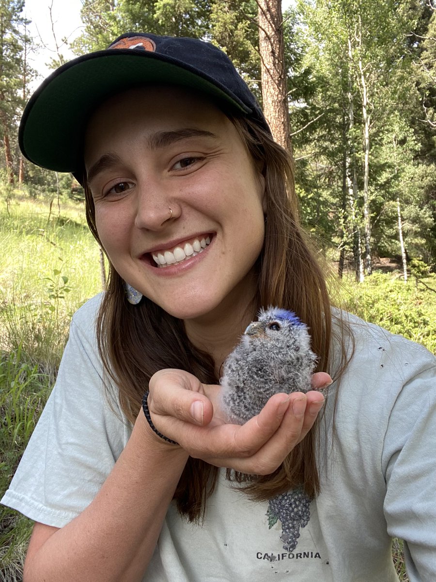 Supporting the next generation of secondary cavity nesters *birds handled with appropriate permits*