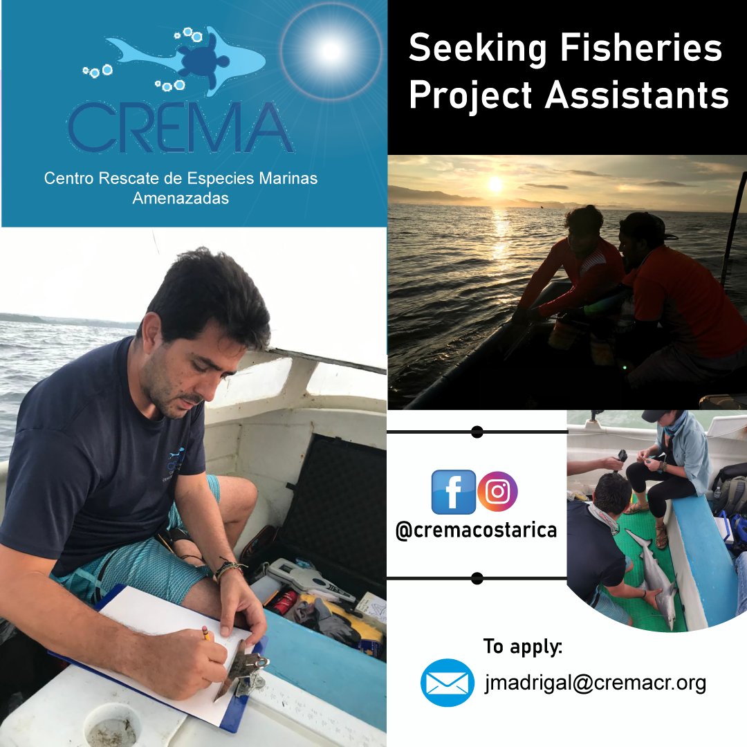 Don´t hesitate to contact us for more information.