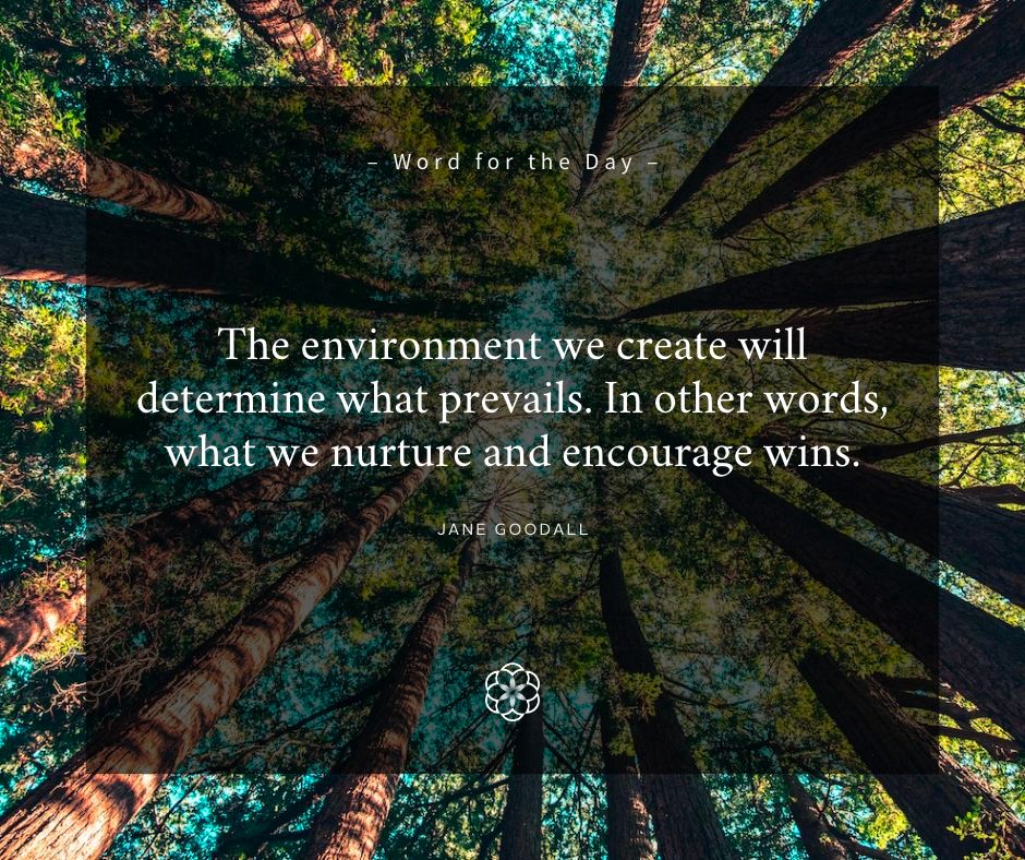 Grateful Living tweet media