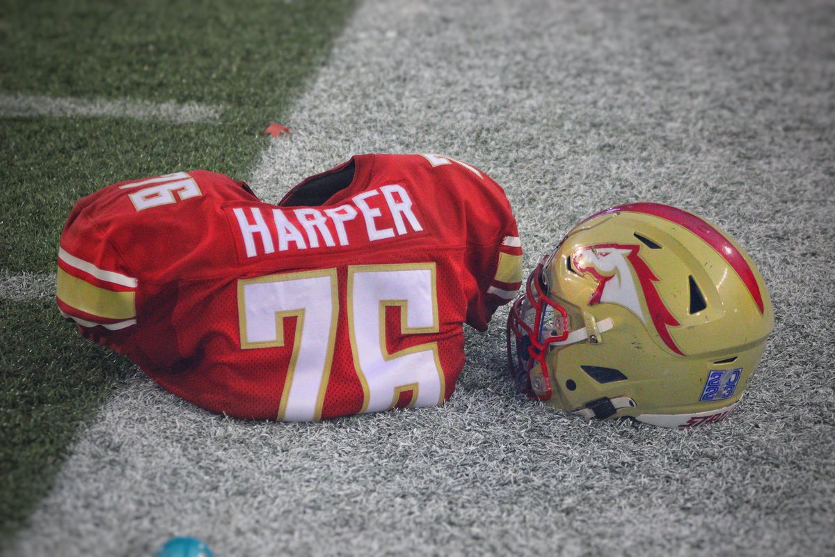 AceUFM's tweet image. While there was plenty of action to shoot at the #USFL Championship I tried to take the time to get some artsy shots! These are my favs after some editing! #USFLNetwork