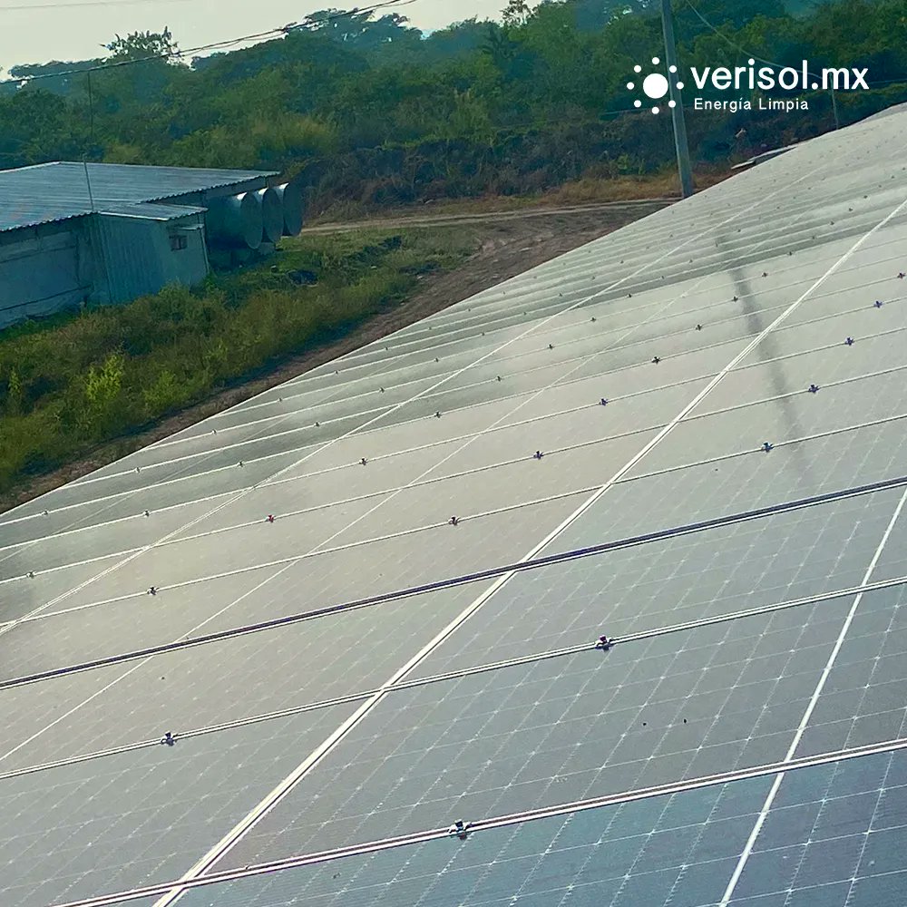 Con nuestros paneles solares, podrás ahorrar mucho dinero en tus facturas de energía a largo plazo. ¡La inversión se paga sola! 😵 ☀️ 💰 #PonlePaneles #EnergiaLimpia #Sustentabilidad #PanelesSolares #SolarPower #AhorraDinero #InvierteTuDinero