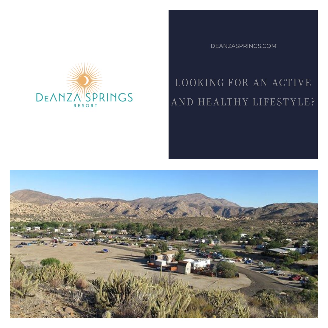 DeAnza Springs Resort on Twitter "🏊‍♂️ Dive into the good life at