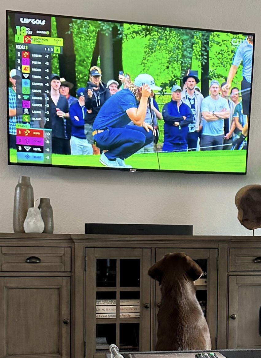Meet #LIVGolf biggest fan 👀🐶⛳️ #livbroadcast