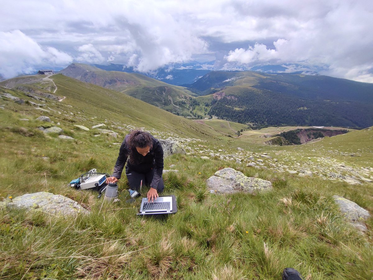 A lot of #alpine #SoilBiology sampling these days. @magdalenagler doing some soil respiration measurements in the mountains of #SouthTyrol at 2500m. Looking forward to the results! #AlpSoil_Lab #EuracResearch