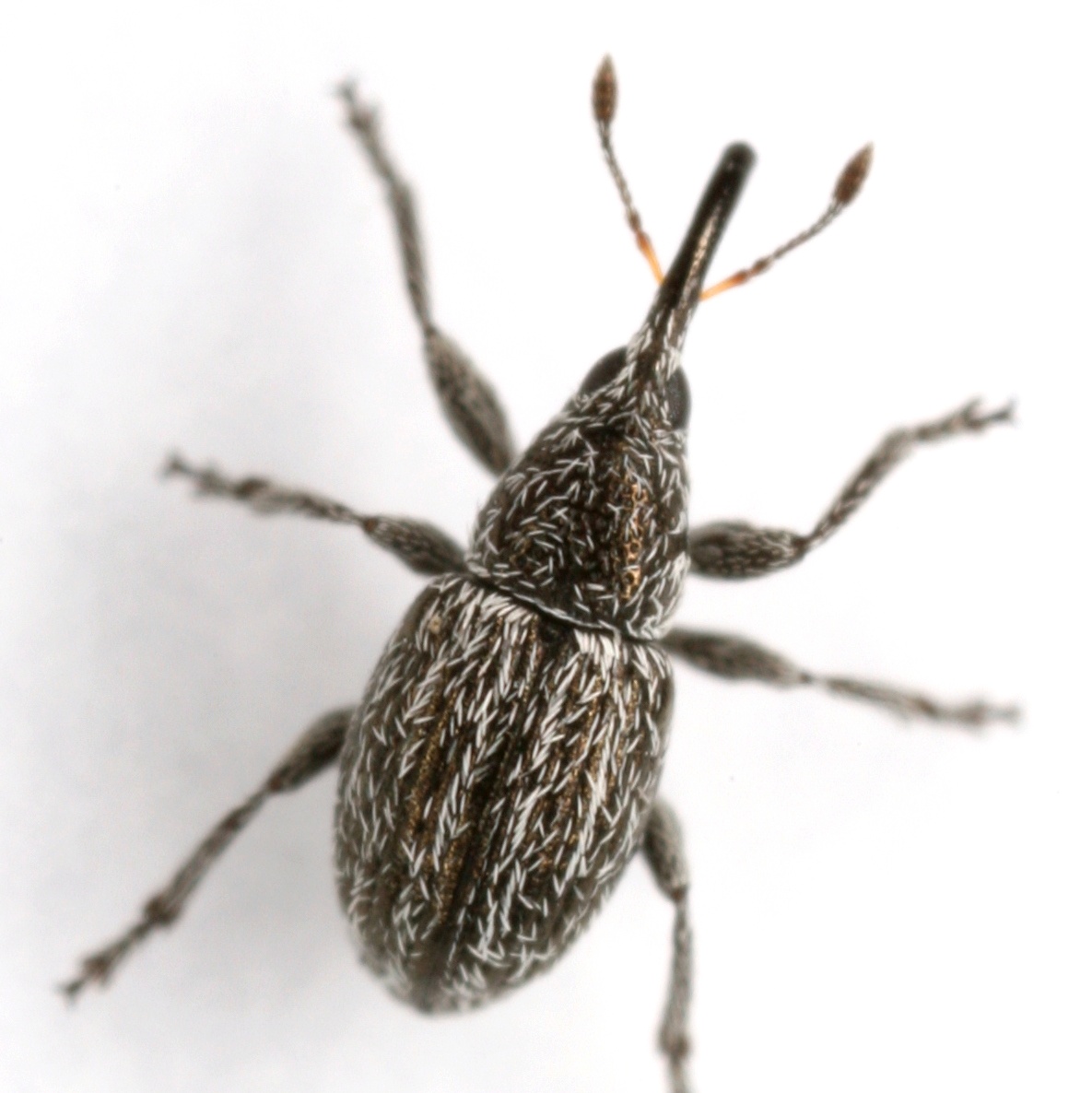 Mike Quinn 🐞 tweet media