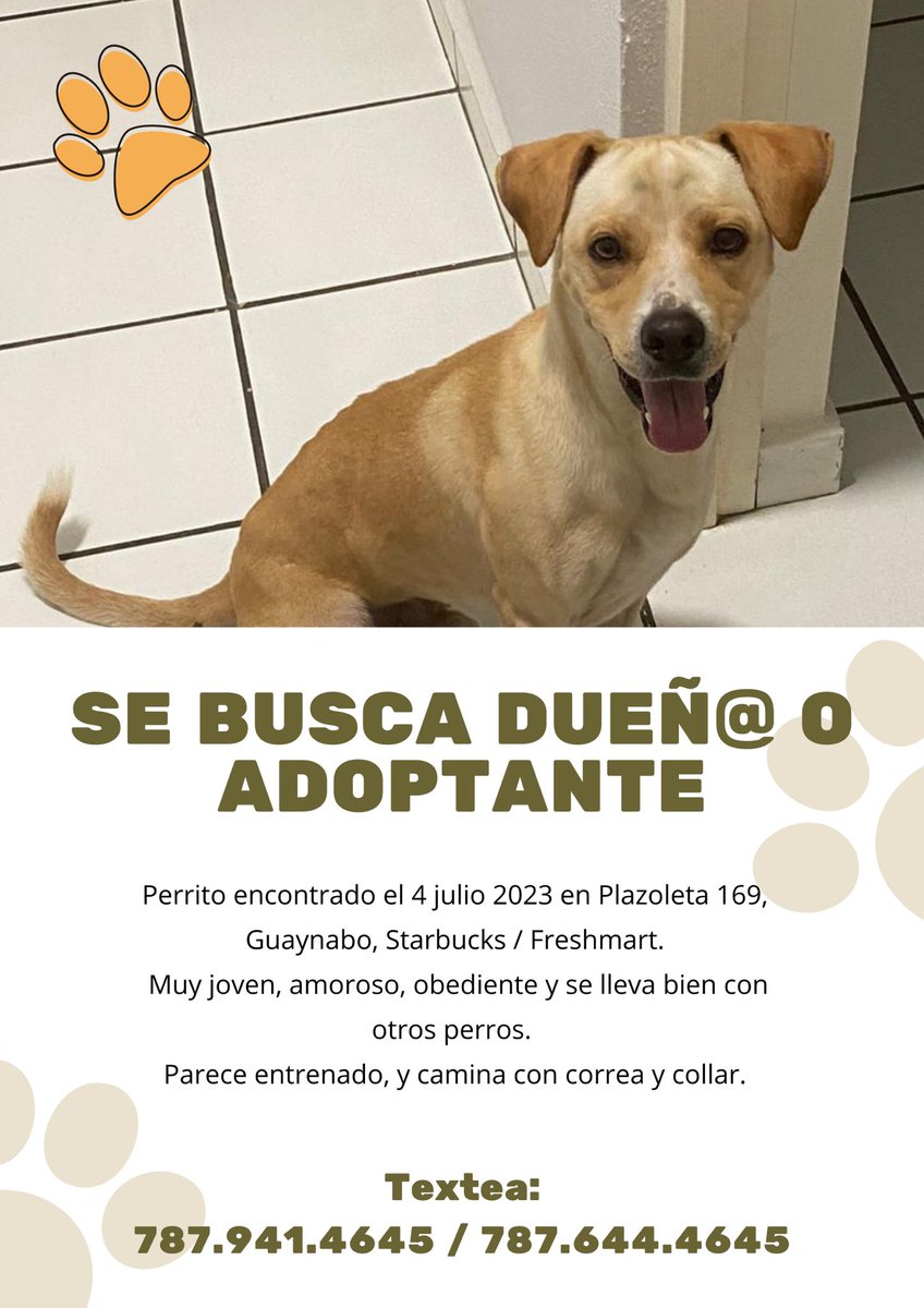 eneidammoreno's tweet photo. https://t.co/MFDTHMZZDo