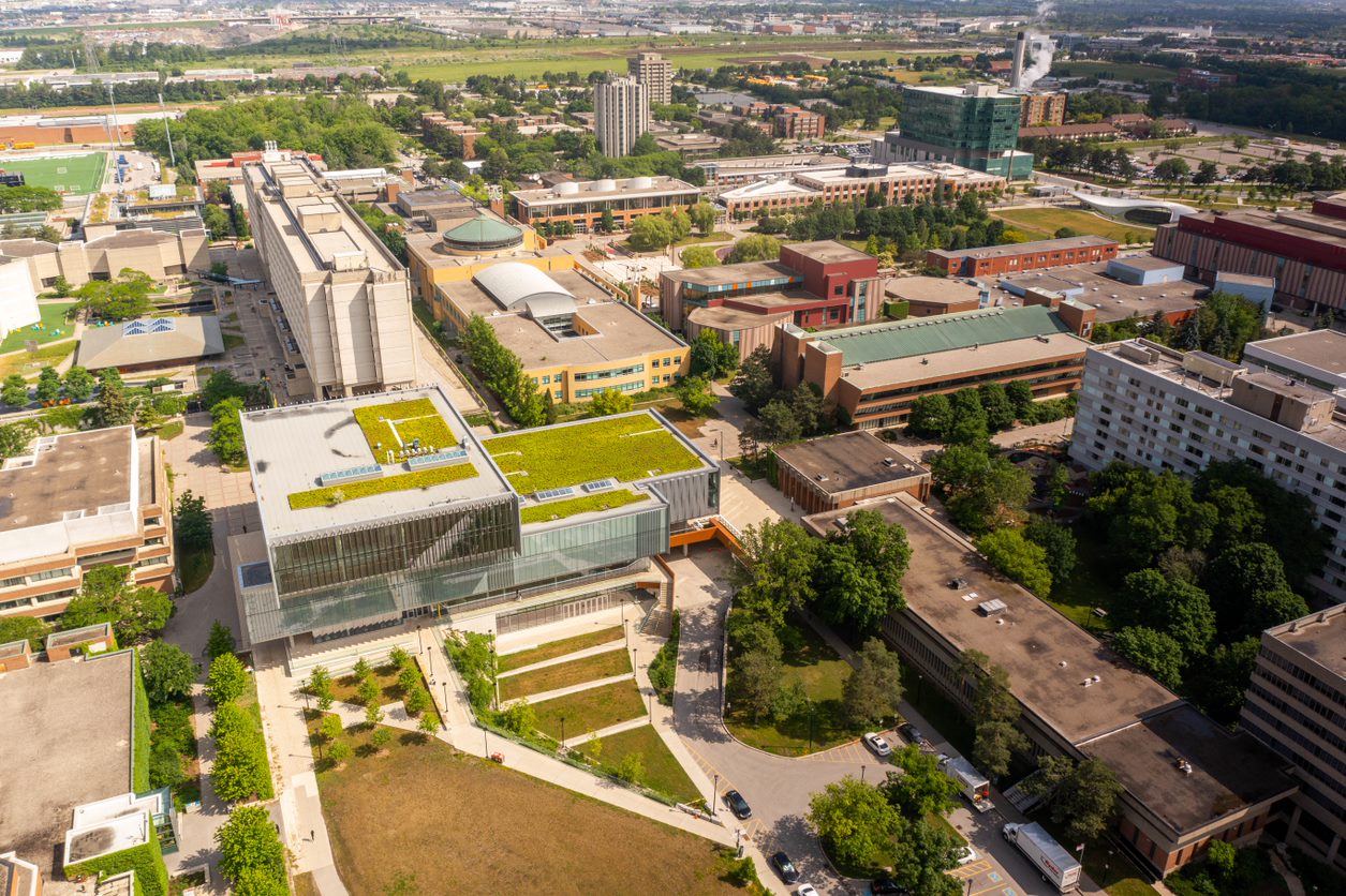 York University On Twitter Seven Projects Led By York University York University On Twitter Seven Projects Led By York University