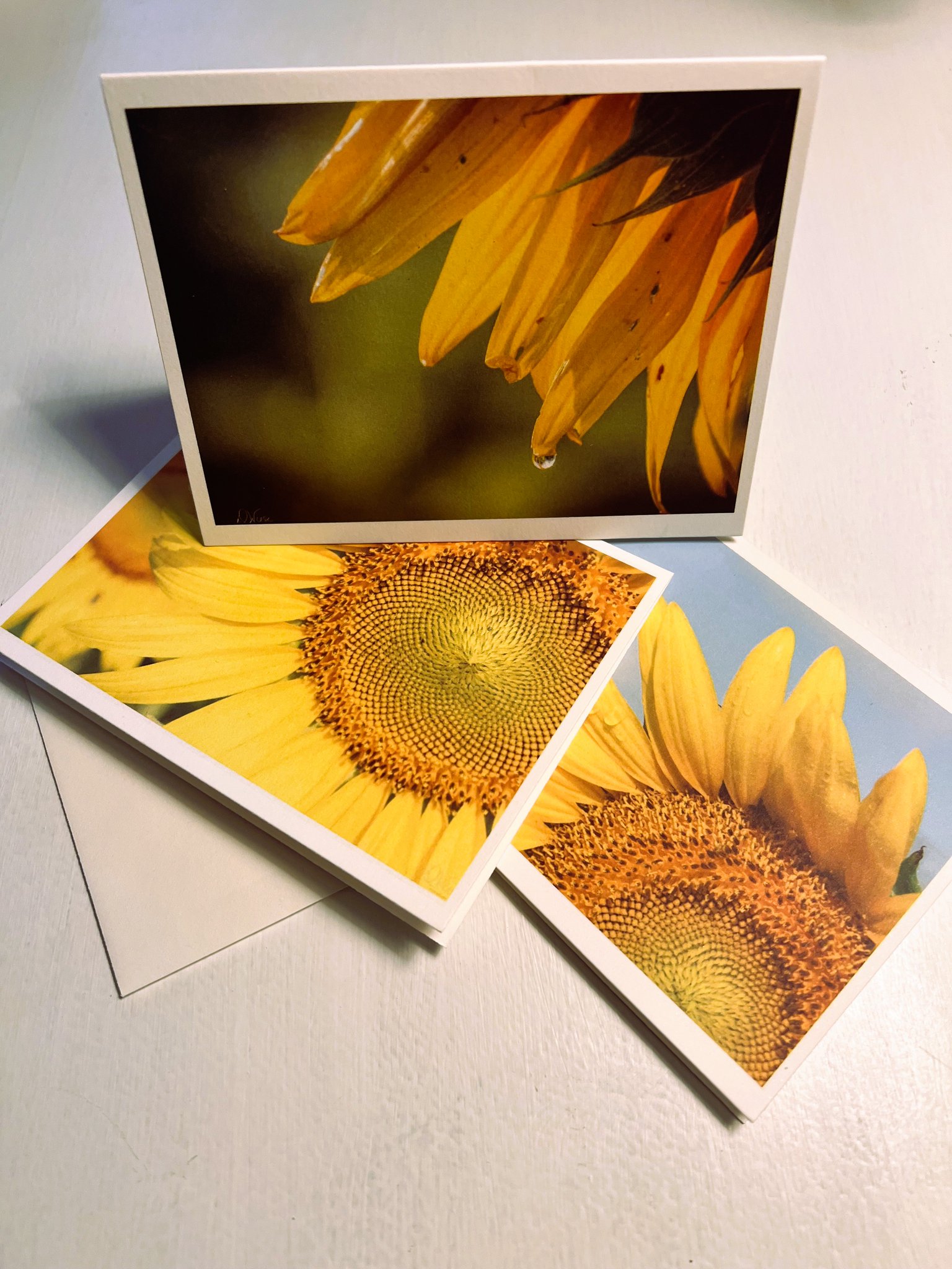 Denise Wiese Photography On Twitter 10 Sunflower Variety Photo 4 X 5 Denise wiese photography on twitter 10 sunflower variety photo 4 x 5
