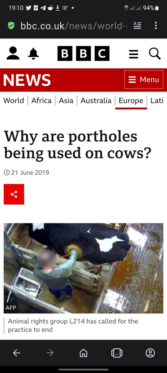 herbthefox420's tweet photo. No feckin way 🙊🤮
#AnimalAbuse
#ClimateScam https://t.co/28JlzEtSru