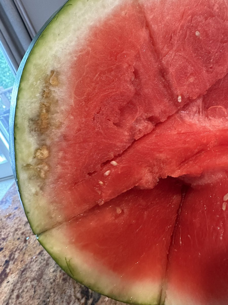Another case we don’t have an answer!This time happens on a melon I bought from store. My son immediately said he won’t eat it although I have told him the flesh is totally fine. I can imagine how frustrated farmers are if their load were rejected because of the rind necrosis.