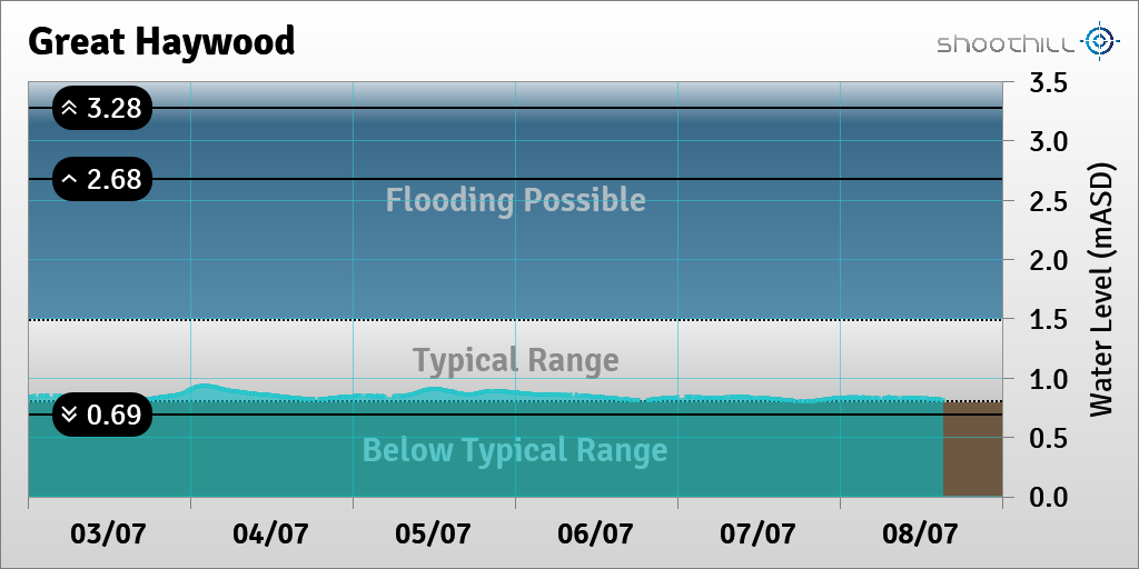 Great Haywood tweet media