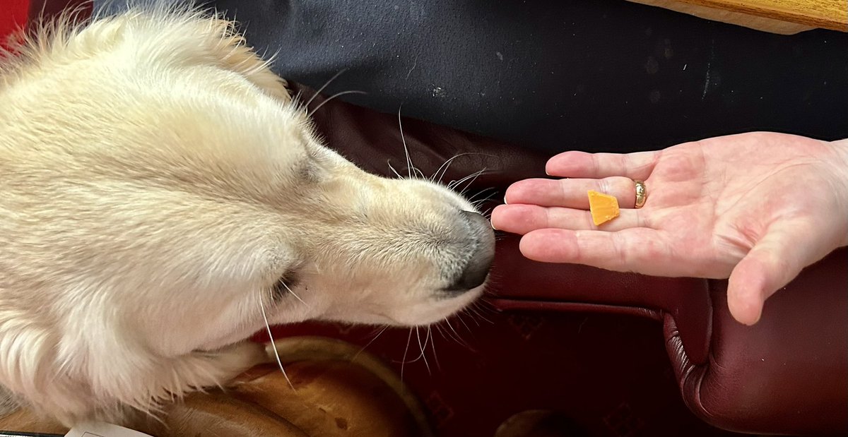 lyn_golden's tweet photo. Oh big deal, The Other Woman. We must have a conversation about your idea of “sharing” the cheese and portion size. #FeelingCheated https://t.co/6G5fweTPyr
