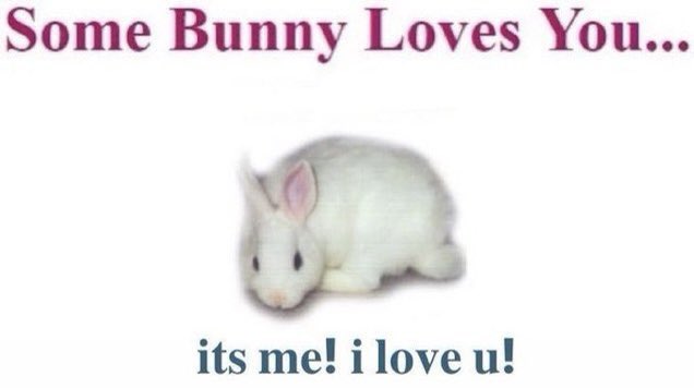 ☘︎ (@allotherforms) on Twitter photo 