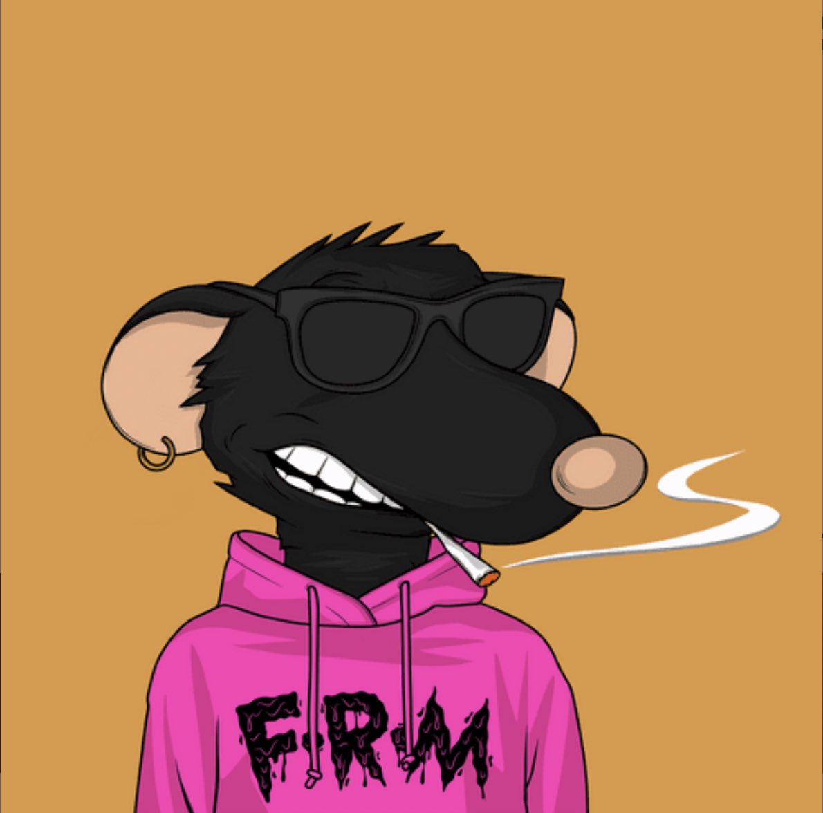 I got the best rats 👀🪤🐀🐠🧜🏽‍♀️👀 #FatRatMafia