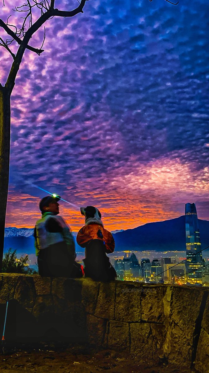 golomalo's tweet image. Terminando la semana 77 consecutiva de #sambombazoproject
Llevando registro de lo que recorremos y recogemos: 
2022 + 2023 📊
2696,5 kilómetros de Plogging 
26.100 litros recogidos 
10.487 botellas 
5.074 latas 
#plogging 
#nodejesrastro sólo tus huellas #chilecircularsinbasura