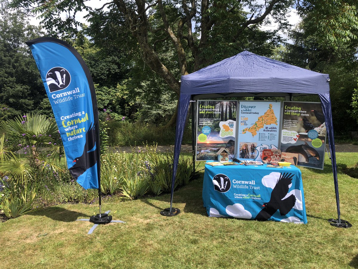 WildGloweth's tweet photo. Many thanks to @EnysGardens for having us at Food Jam 2023 today. A wonderful, tasty, family-friendly event. Lots of great chats with folks passionate about Cornish wildlife. Sure tomorrow will be more of the same, so come along! @WildlifeSW @CwallWildlife #Cornwall #wildlife https://t.co/Iz0dSjyHbG
