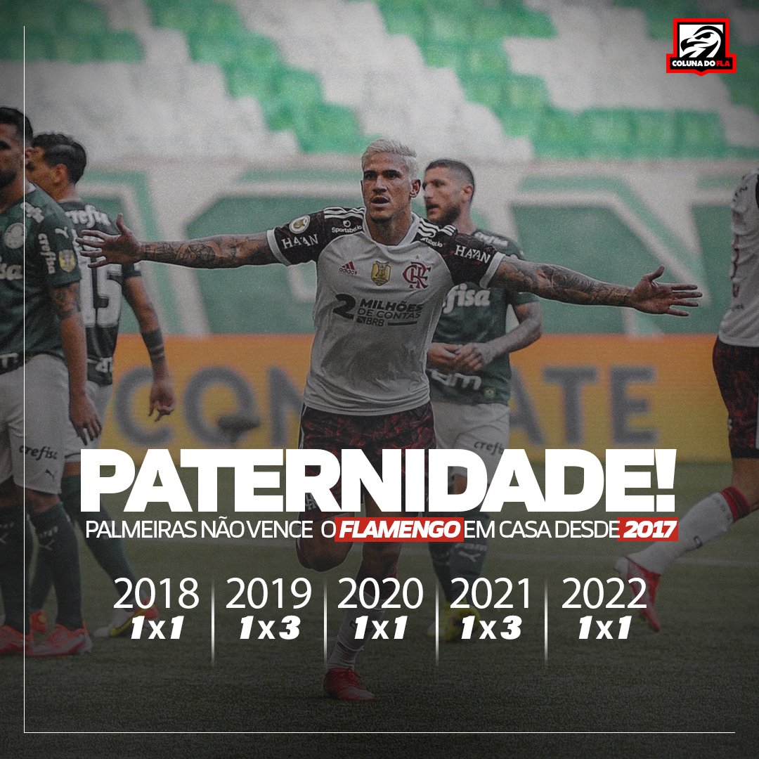 Flamengo x Palmeiras - Curiosidades da partida - Coluna do Fla