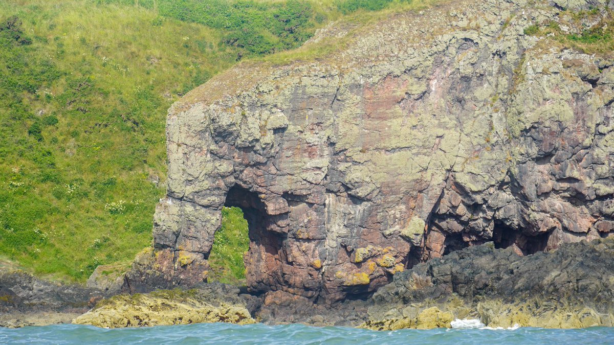 Nick Ray tweet media