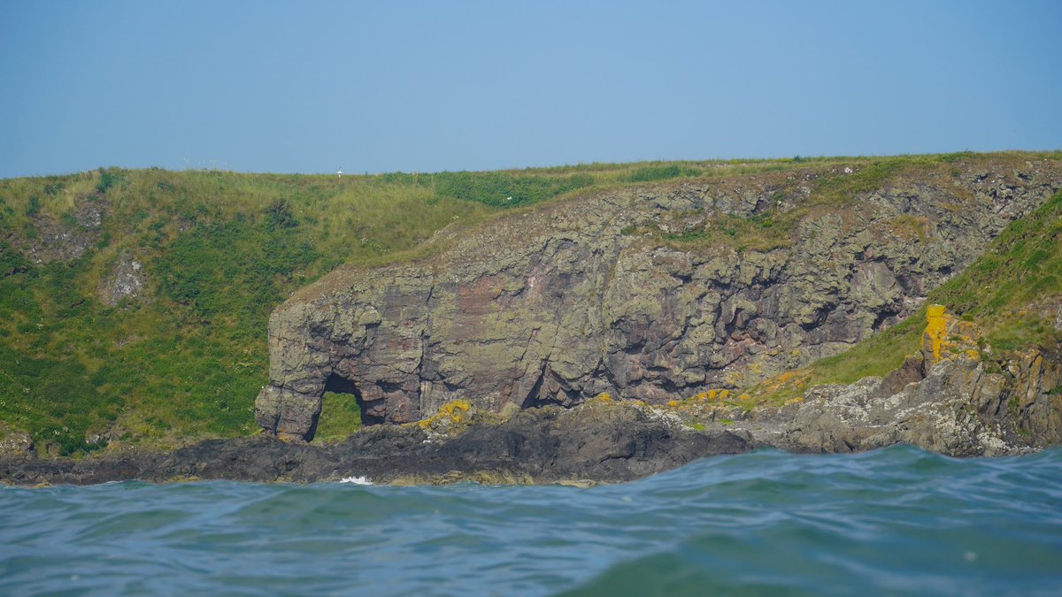 Nick Ray tweet media