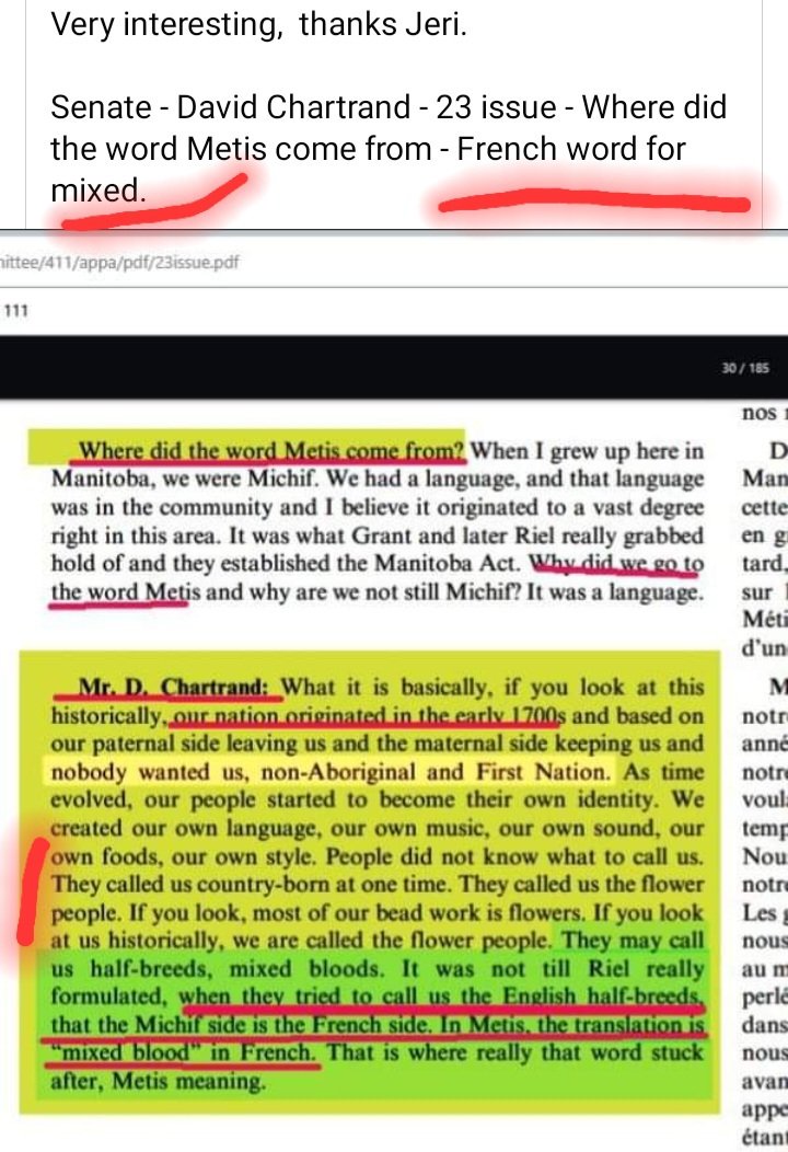 LADYALEXANDRIA's tweet photo. Did you know #ManitobaMetisFederation #DavidChartrand STATED previously #Metis #Métis in #Manitoba were CALLED #Michif previously ? So RR #Metis DO NOT OWN the word #Metis. More #MetisHistory Distorted for #Greed and #Power https://t.co/2pkIFL3I1t