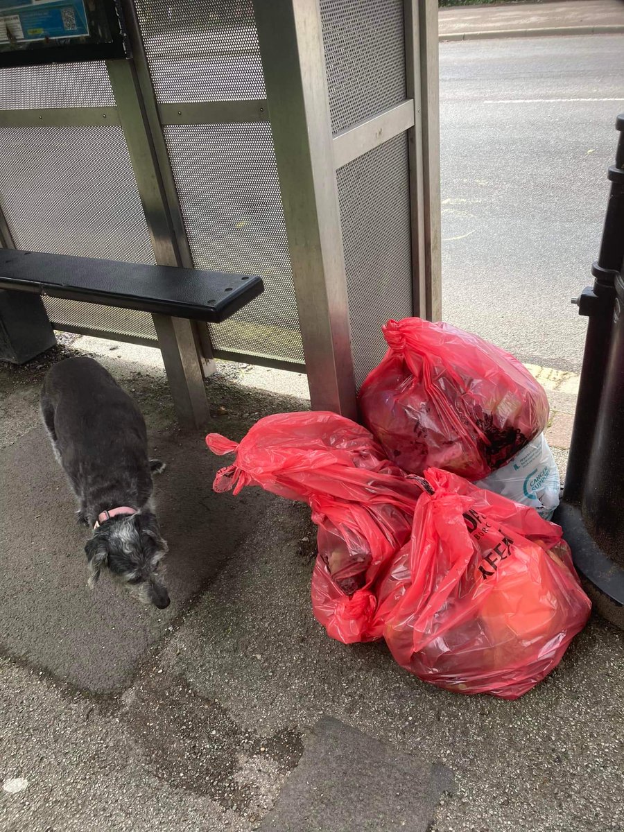 Keep Blackburn Tidy🚮 tweet media