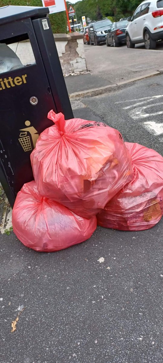 Keep Blackburn Tidy🚮 tweet media