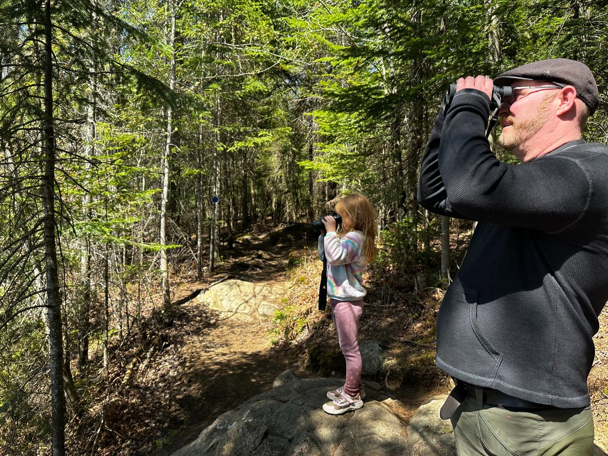 GrundyLakePP tweet media