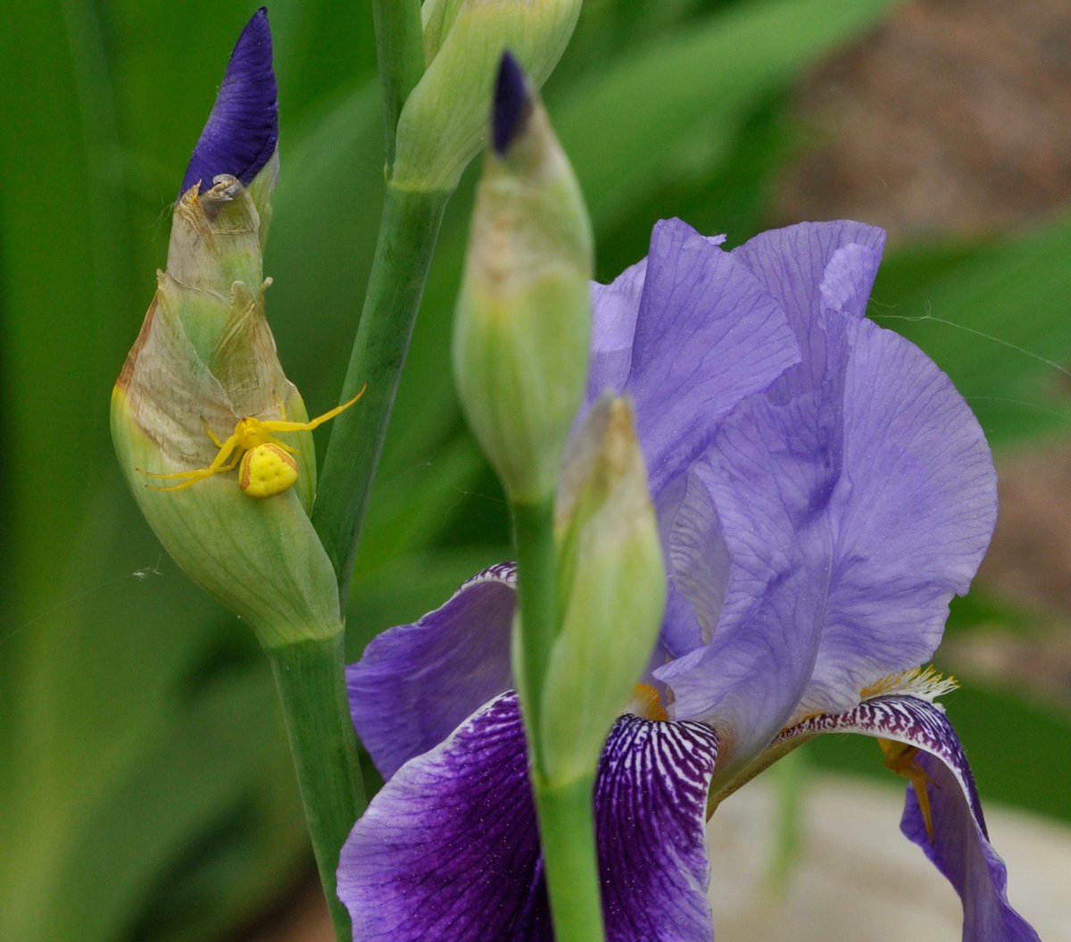 Dan Leskiw tweet media