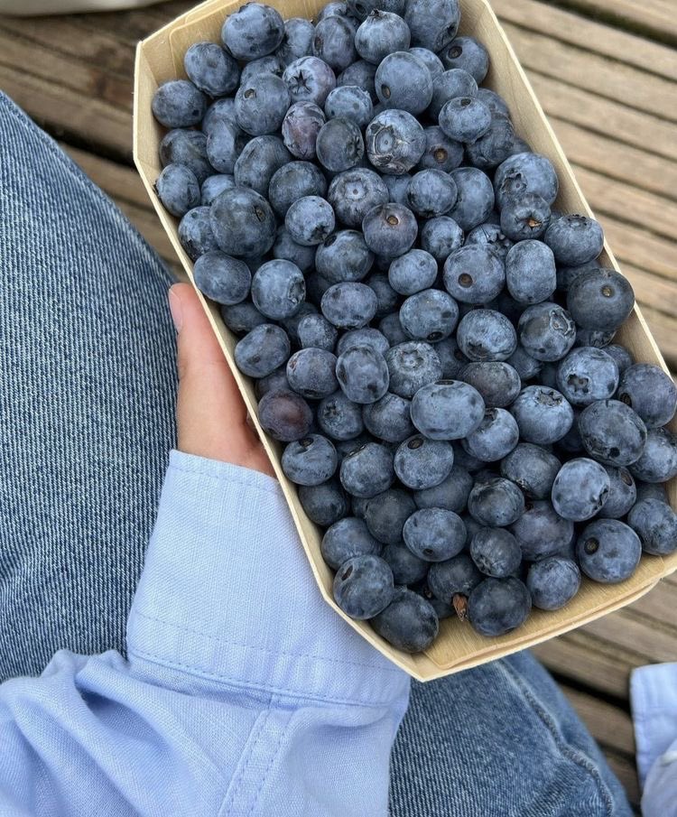 🫐❕STOP EATING BLUEBERRIES❕🫐

~ a very important thread on why we should stop eating blueberries