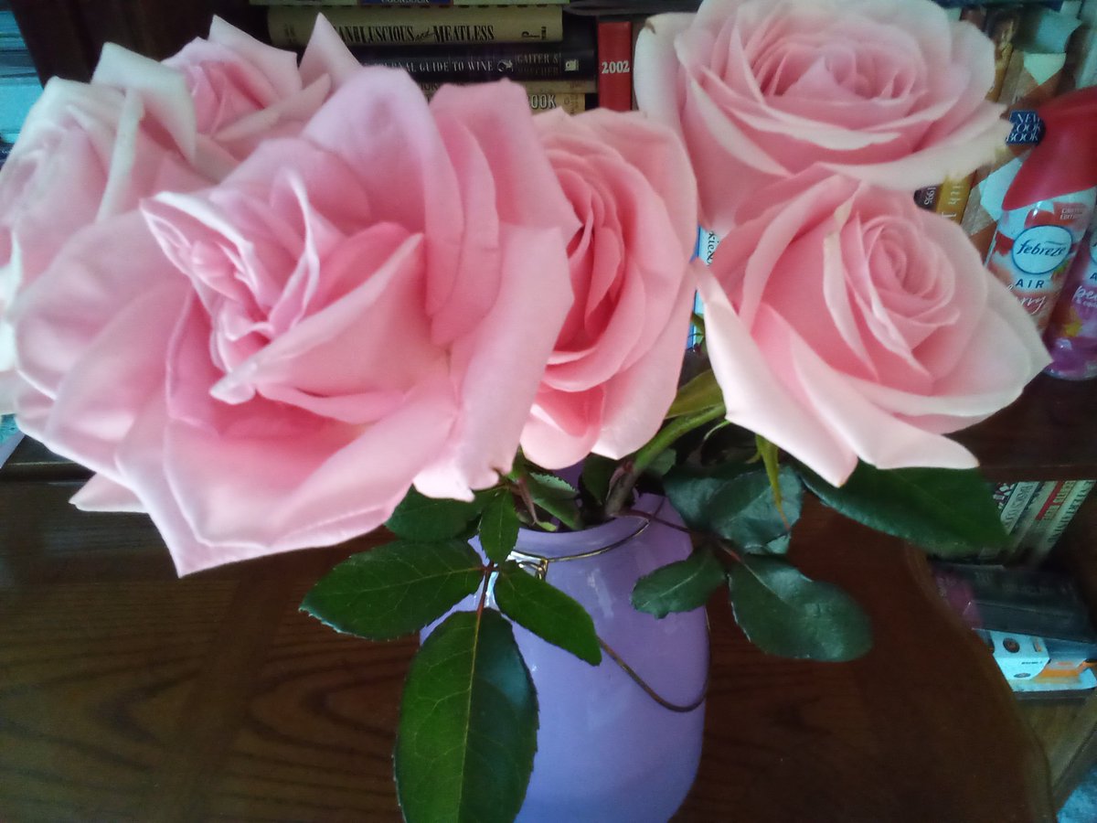 FinishedBaking's tweet photo. #Kentucky #OldWivesTale "A #woman who #loves #flowers too much will #Never #Marry" #OhWell! Lol! https://t.co/hGXY7OLB4s